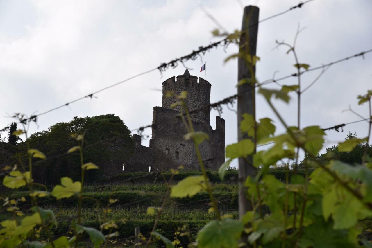 Le Brin D'Osier Lejlighed Kaysersberg-Vignoble Eksteriør billede