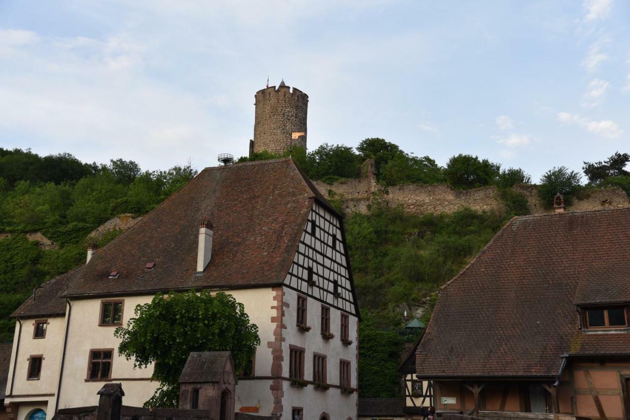Le Brin D'Osier Lejlighed Kaysersberg-Vignoble Eksteriør billede