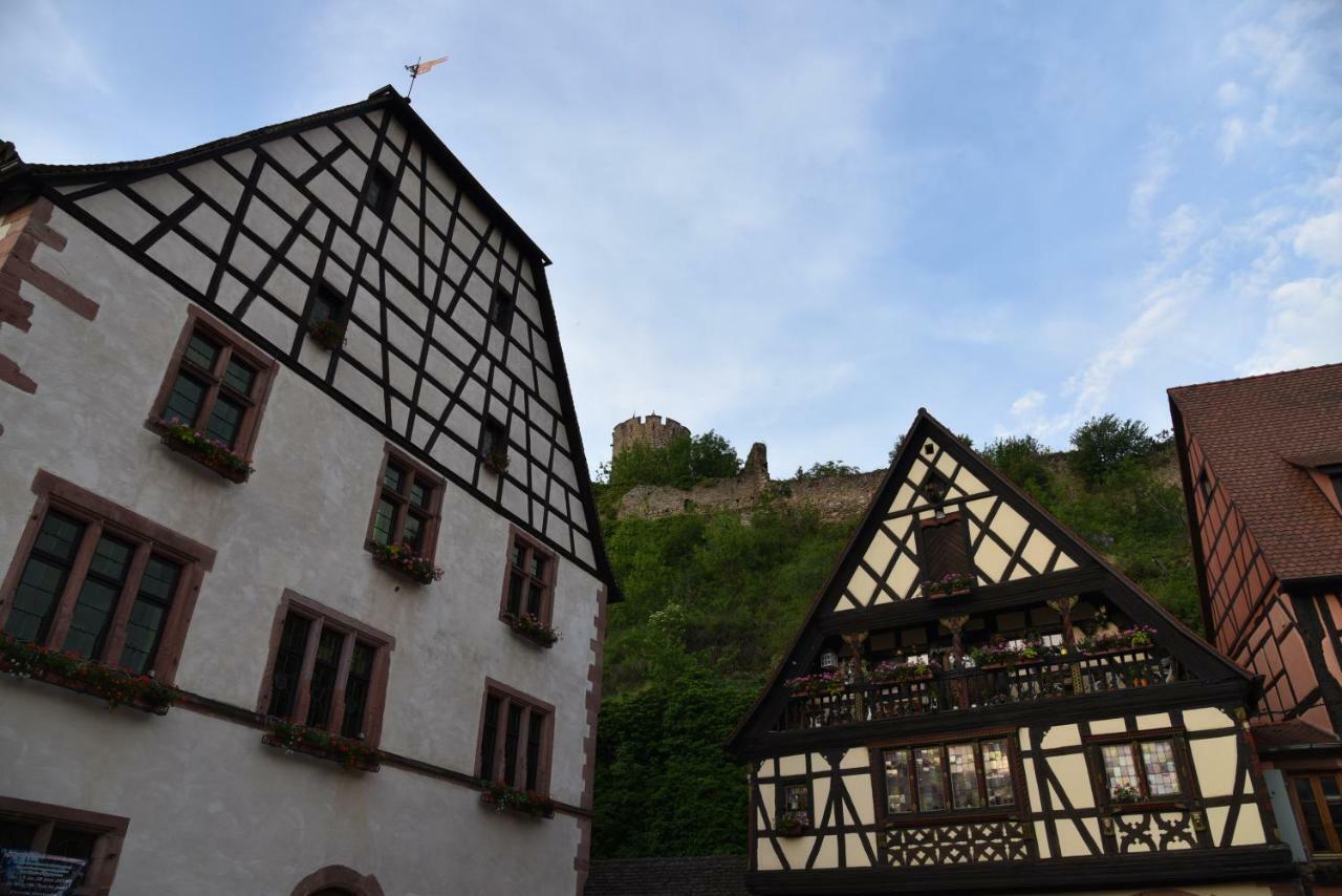 Le Brin D'Osier Lejlighed Kaysersberg-Vignoble Eksteriør billede